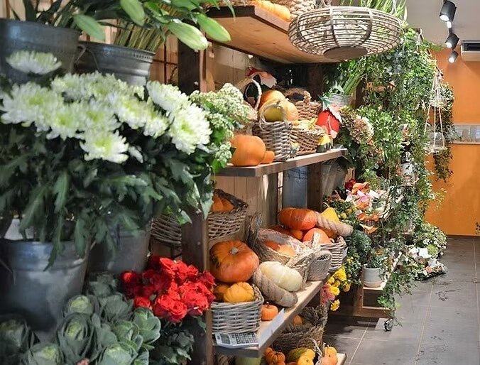 Fleurs pour toutes les saisons
